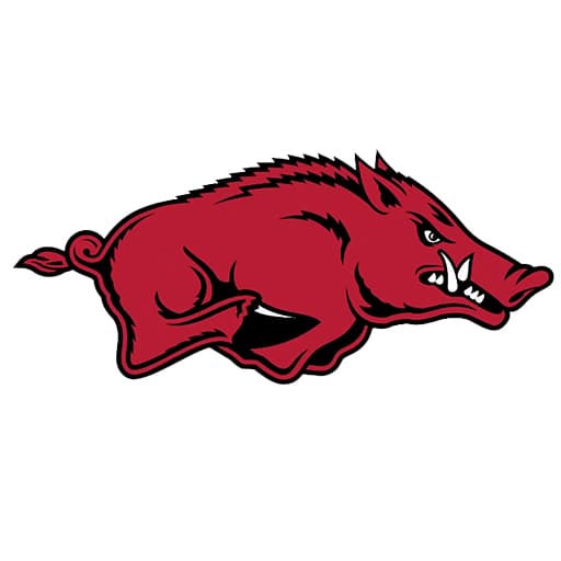 Arkansas Razorbacks Softball Schedule 2026–2027