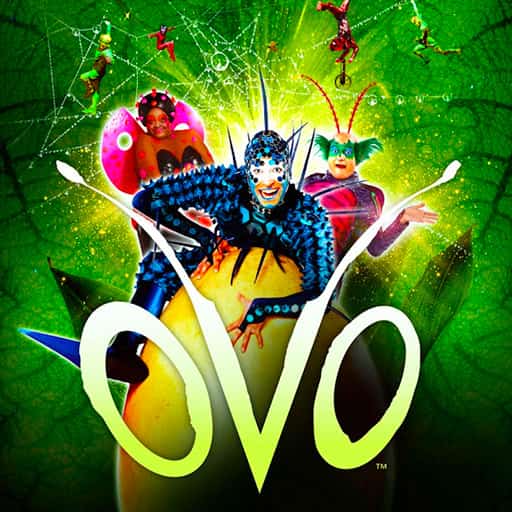 Cirque du Soleil - Ovo Oklahoma City Tickets